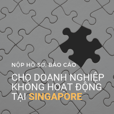 Nộp hồ sơ cho công ty không hoạt động dormant company tại singapore