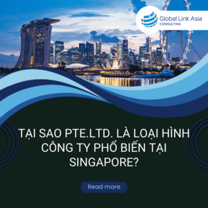 Tại sao Pte.Ltd. là loại hình phổ biến trên Singapore